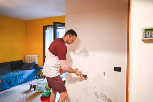 Best Emergency Mold Removal  in Brighton, CO